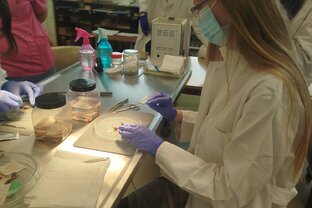 Zväčšiť fotografiu - Minierasmus – jarný termín